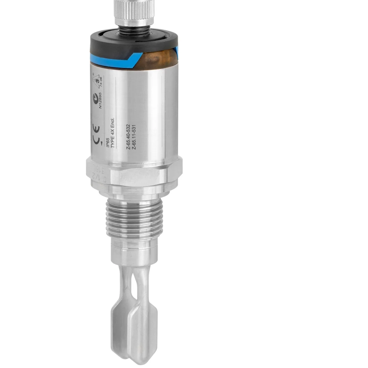 Endress+Hauser FTL31