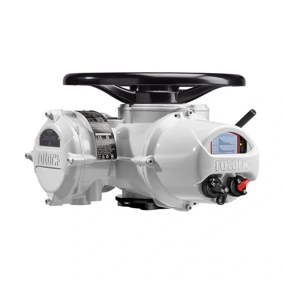 Rotork IQ3D Pro