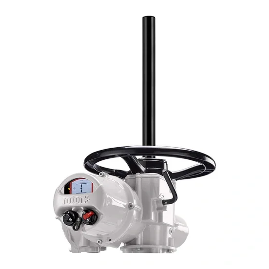 Rotork IQ19